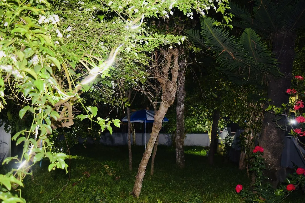 Avalon Grove Bed & Breakfast Thekkady