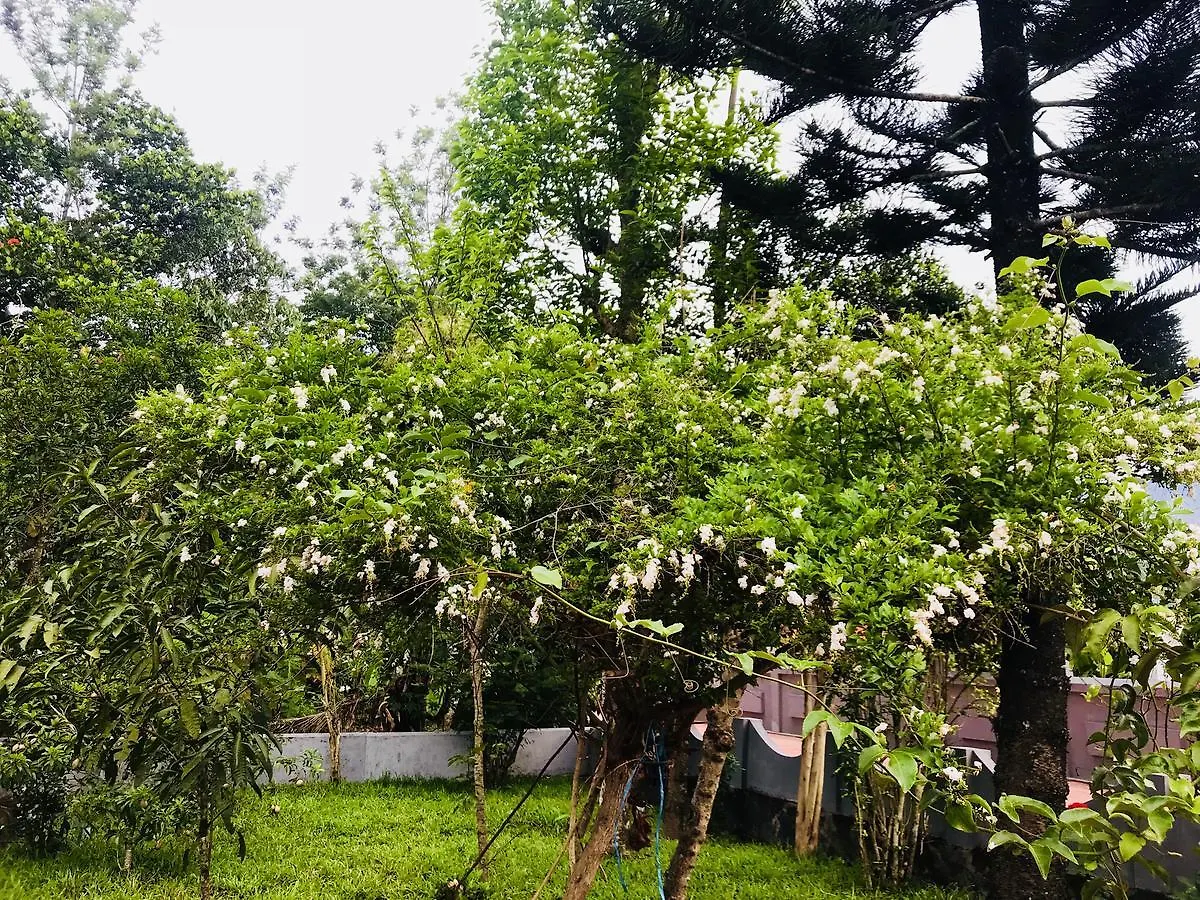 Avalon Grove Bed & Breakfast Thekkady