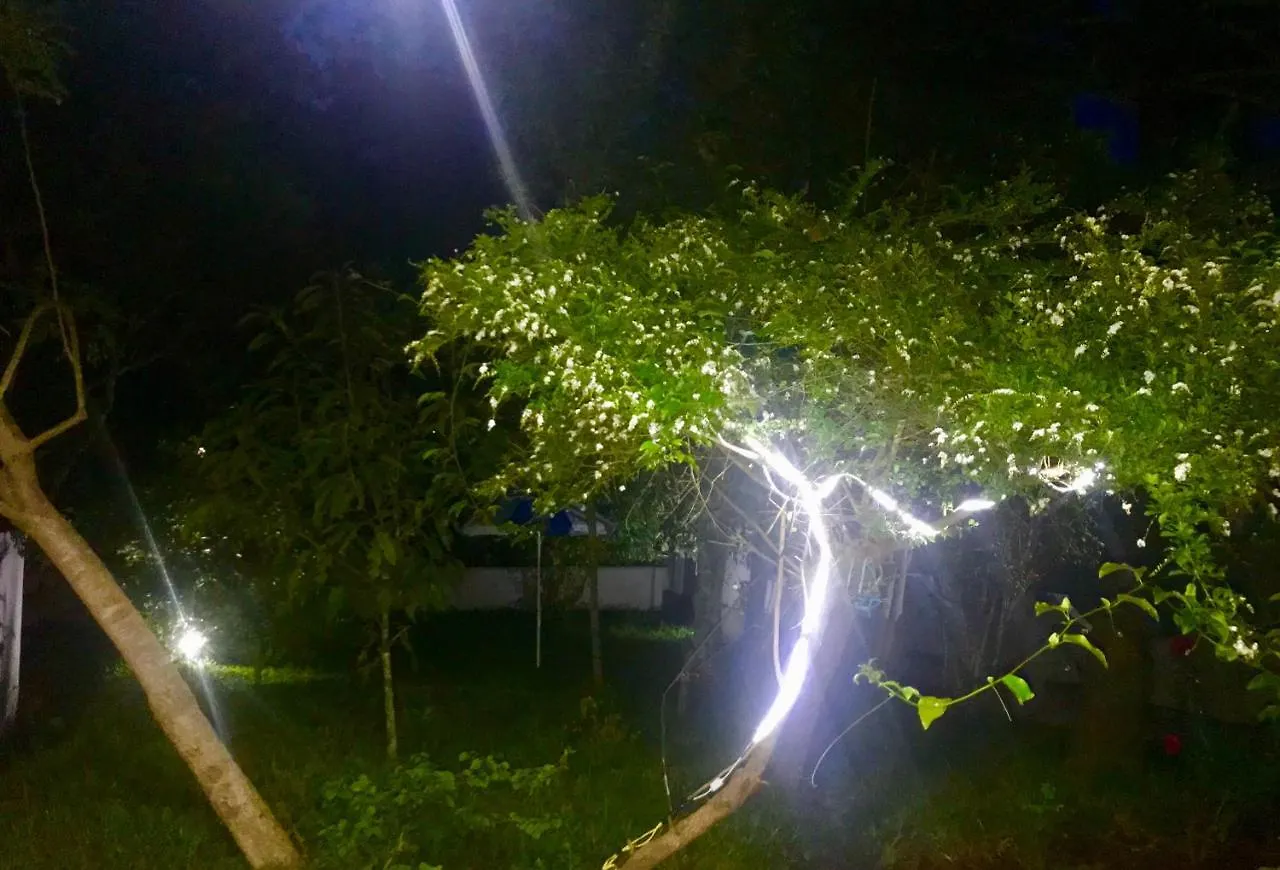 Avalon Grove Bed & Breakfast Thekkady